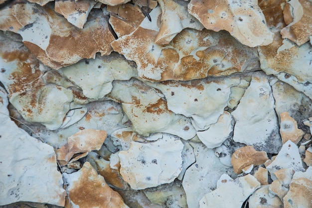 Foto textura cinza semelhante a uma rocha