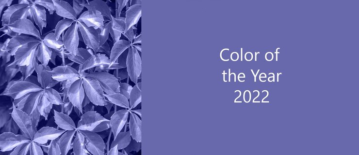 Foto textura com folhas. muito peri, cor do ano, 2022, azul, roxo, foco seletivo.