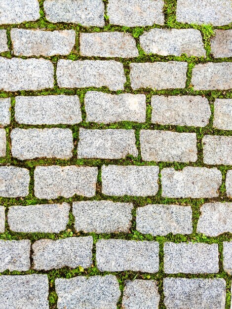 La textura sin costuras de fondo de la hierba verde brotó entre ladrillos de camino de adoquines vista superior