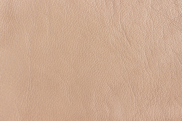 Textura del cuero en color beige. Fondo, textura perfecta.