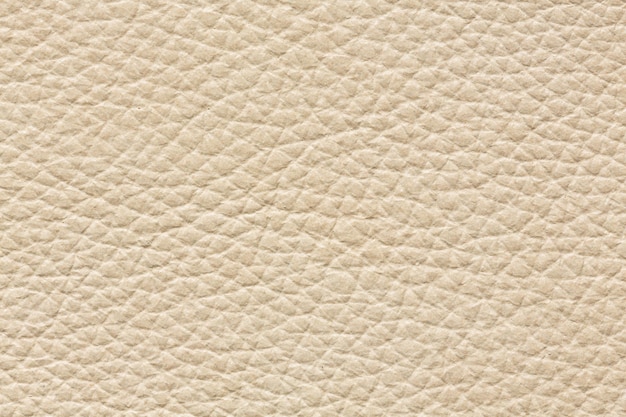 Textura de cuero ideal en color blanco para su proyecto único