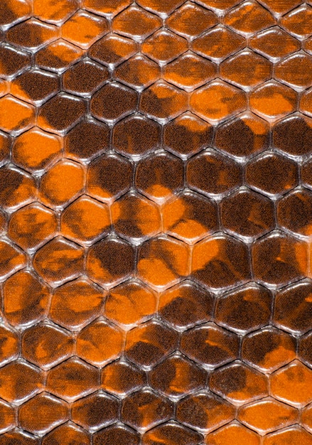 Foto textura de cuero de primer plano fondo serpiente naranja y negra