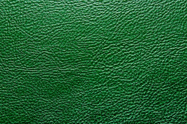 Textura del cuero verde