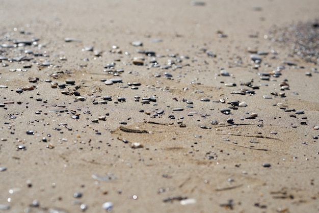 Textura da areia da praia