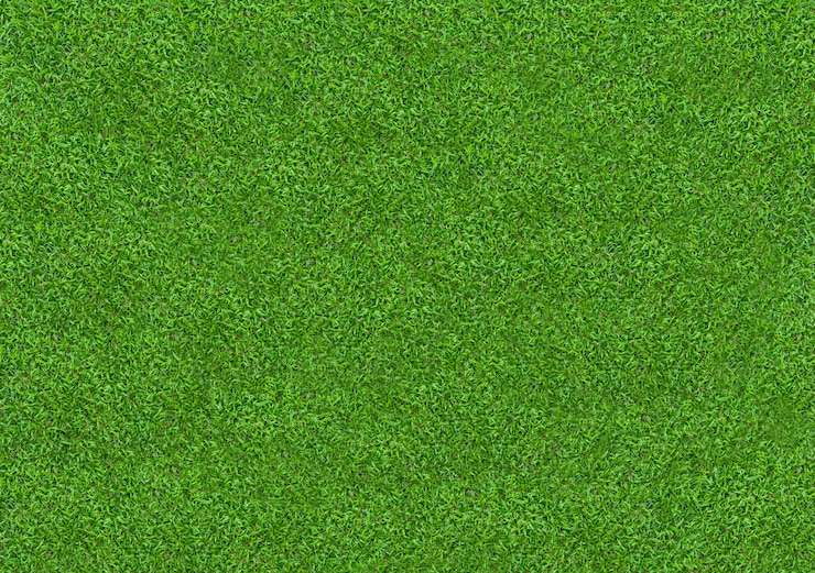 Foto textura da grama verde para o fundo. padrão de gramado verde e fundo de textura