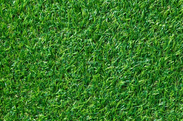 Textura da grama verde para o fundo. Teste padrão e textura verdes do gramado. vista do topo.
