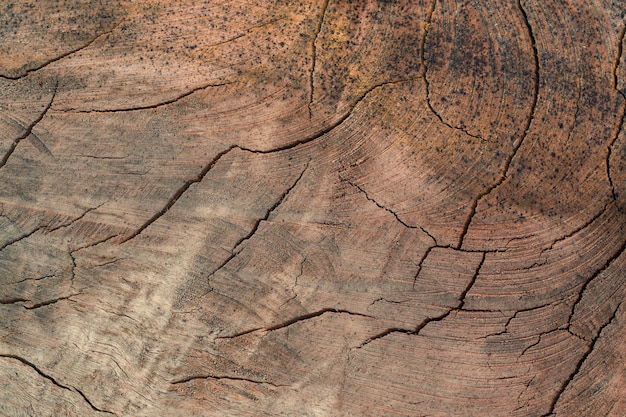 Textura da madeira empilhada