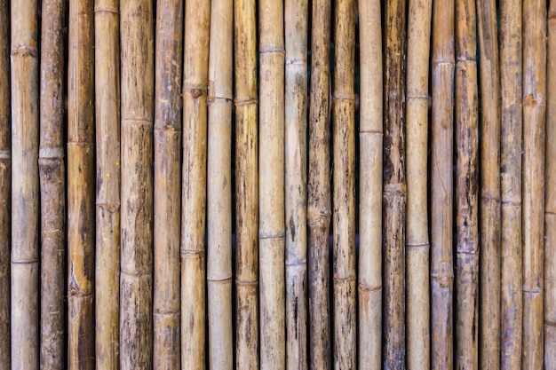 Textura da parede de bambu