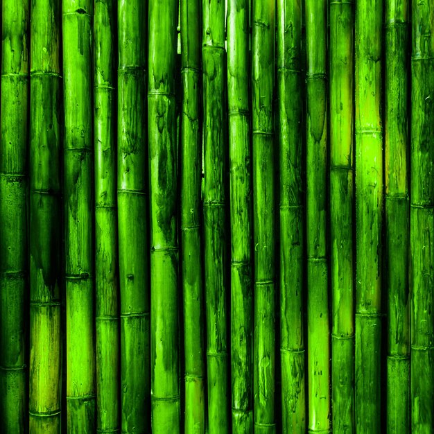 Foto textura da parede de bambu