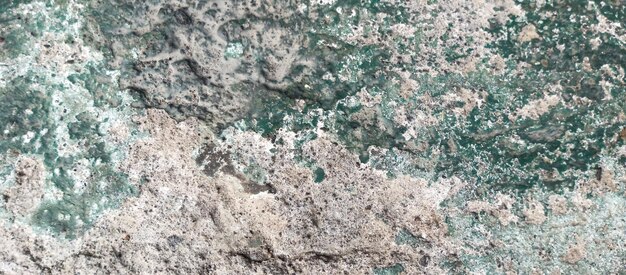 Foto textura da parede de cimento fundo da parede de cimento ângulo aproximado tomado