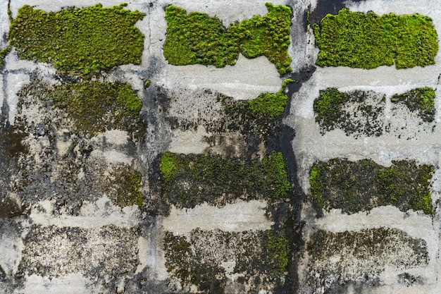 Textura da parede de tijolos