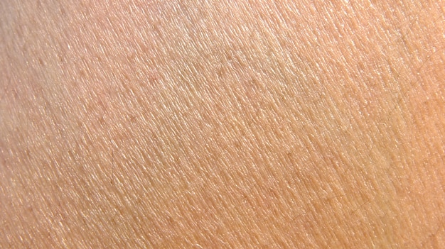 Textura da pele humana
