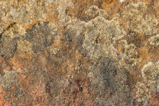 Textura da rocha. Fundo de textura de pedra.