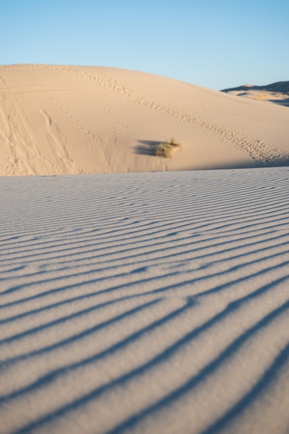 textura das dunas do deserto