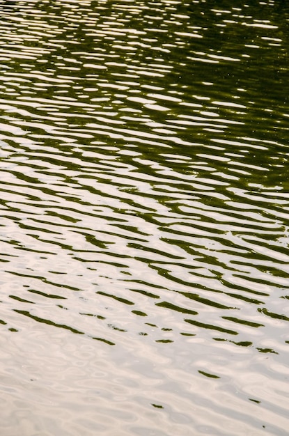 Textura de água verde