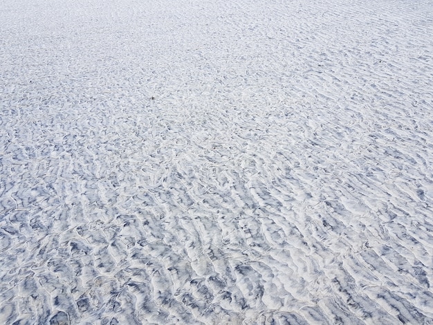 Textura de areia branca da praia.