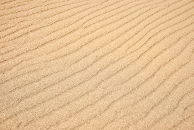 Textura de areia