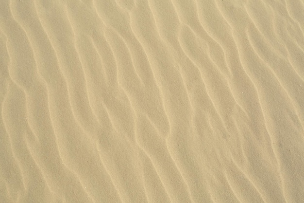 Textura de areiabeach sandsand texture for summer background