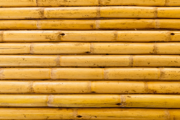 Textura de bambu