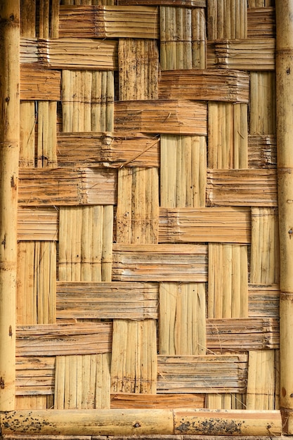 Textura de bambu