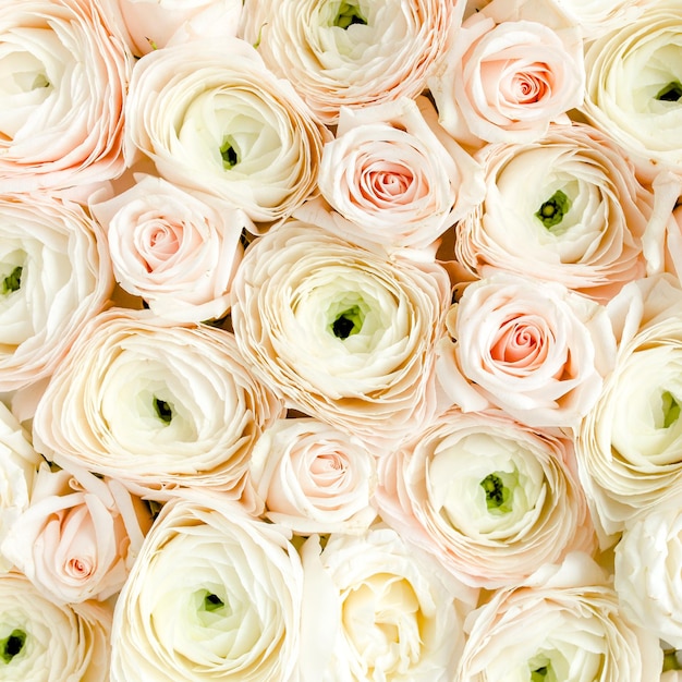 Textura de buquê de flor de ranúnculo rosa e rosas close-up vista plana de cima tex de flor de ranúnculo