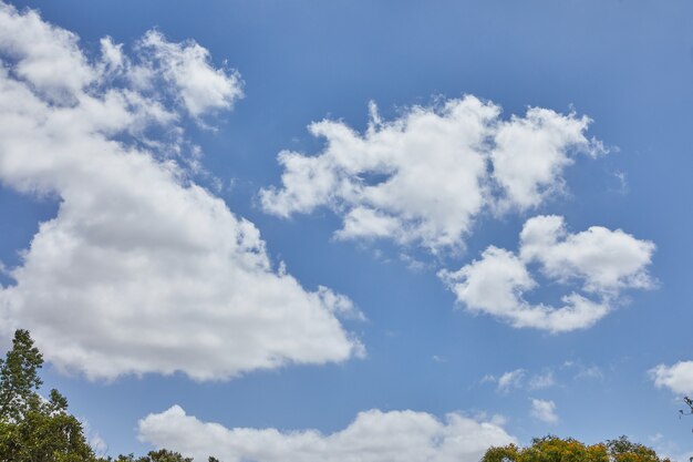 Foto textura de céu nu com nuvens e vegetação abaixo do fundo.