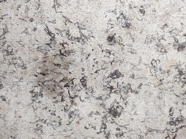 Textura de cimento cinza Textura cinza de fundo e em branco