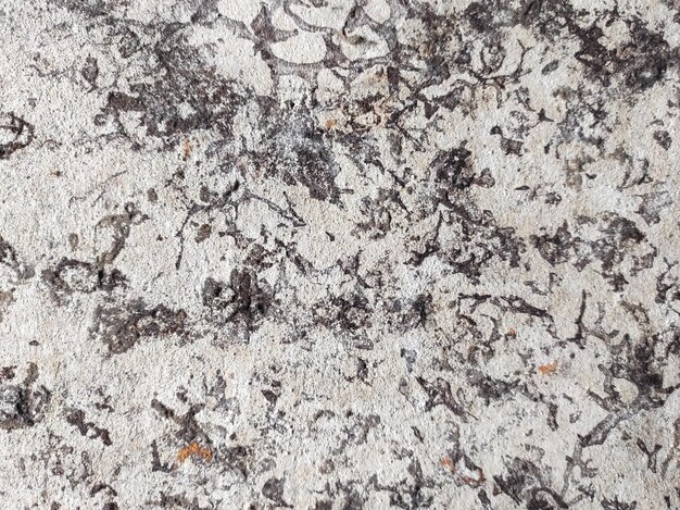Textura de cimento cinza Textura cinza de fundo e em branco