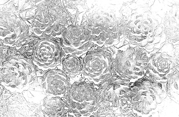 Foto textura de close-up de sobreposição angustiada de agulhas de pinheiro grunge fundo preto e branco