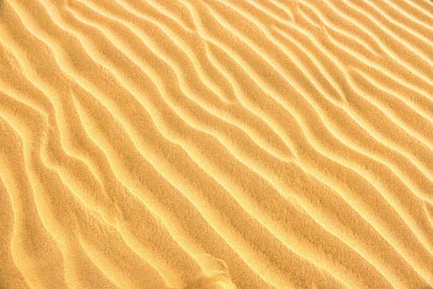 Textura de dunas de areia amarelas do deserto. Pode ser usado como fundo natural