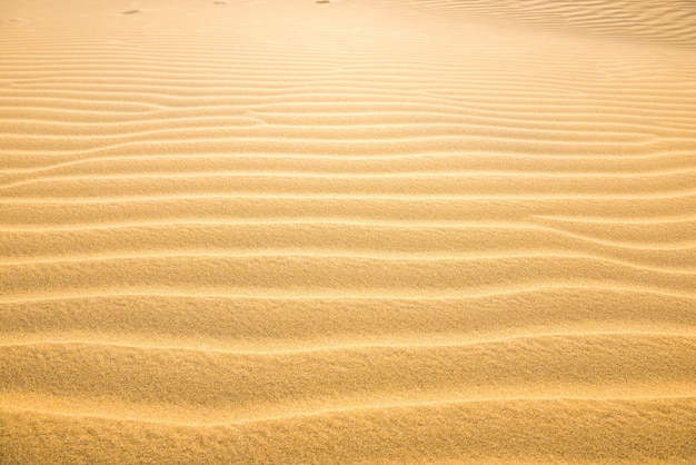 Textura de dunas de areia amarelas do deserto. Pode ser usado como fundo natural