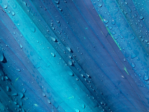 Foto textura de folha de néon abstrata para gotas de orvalho de fundo