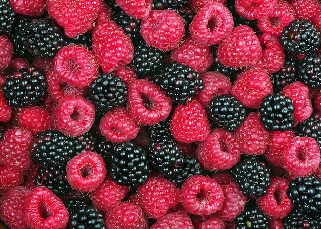 Foto textura de framboesas maduras e amoras silvestres