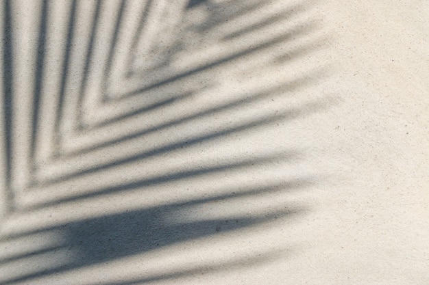 Textura de fundo abstrato de folhas de sombras em uma parede de concreto