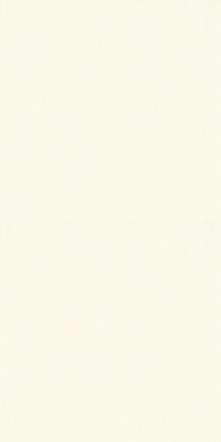 Textura de fundo branco