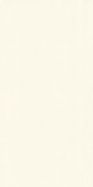 Textura de fundo branco