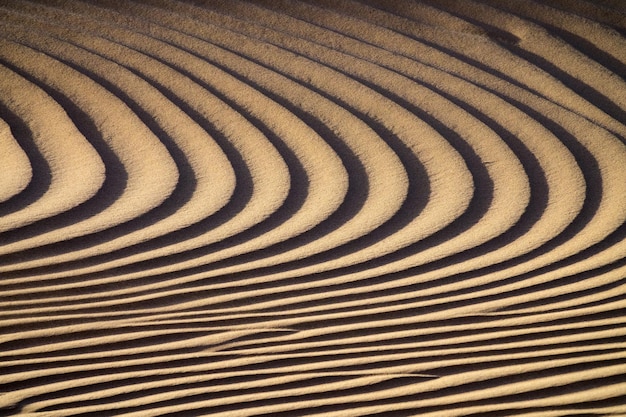 Textura de fundo de dunas de areia