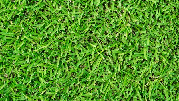 textura de fundo de grama verde de campo de futebol