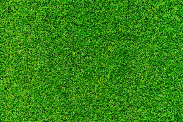 Textura de fundo de grama verde