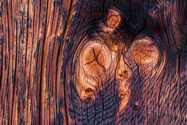 Textura de fundo de madeira rústica Knothole
