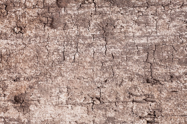 Textura de fundo de madeira velha.