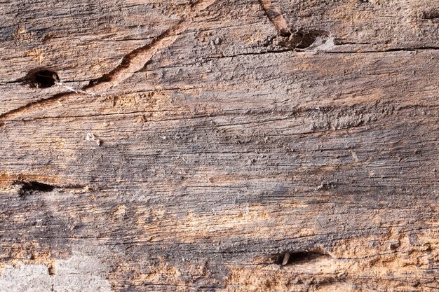 Textura de fundo de madeira velha.