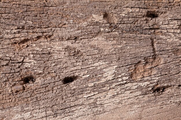 Textura de fundo de madeira velha.