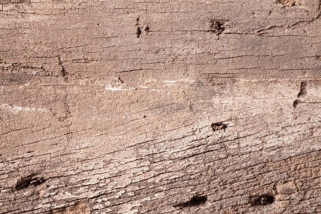 Textura de fundo de madeira velha.