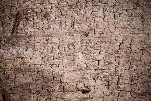 Textura de fundo de madeira velha.