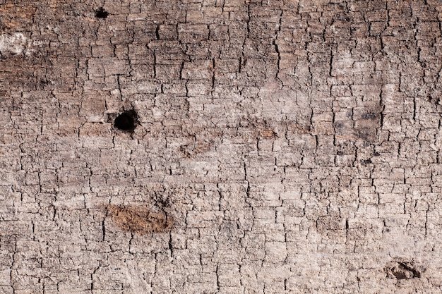 Textura de fundo de madeira velha.