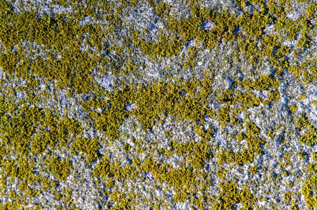 Textura de fundo de parede de granito antigo closeup musgo vermelho na superfície