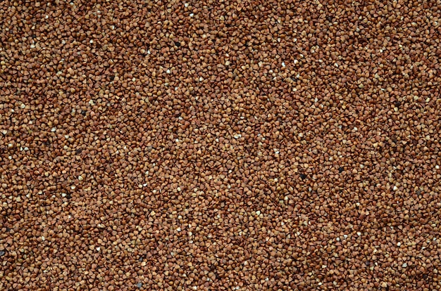 Textura de fundo de uma grande pilha de trigo mourisco