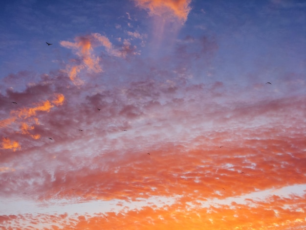 Foto textura de fundo do lindo céu laranja e azul do sol com nuvens