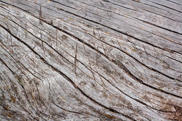 Textura de fundo do tronco da velha árvore seca com rachaduras e cortes. imagem horizontal.